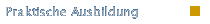 Praktische Ausbildung